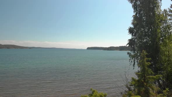 Drone flying thru trees out to sea.