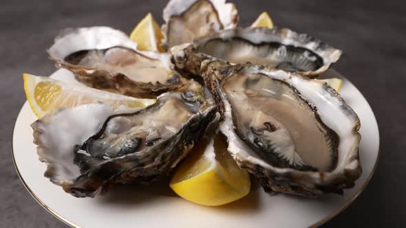 Fresh Oysters 23