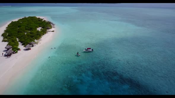 Aerial above travel of perfect shore beach wildlife by blue green lagoon with bright sand background