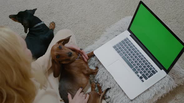 Woman Typing on Laptop with Green Screen and Stroking Dog Pets Sit on Carpet Floor Rbbro