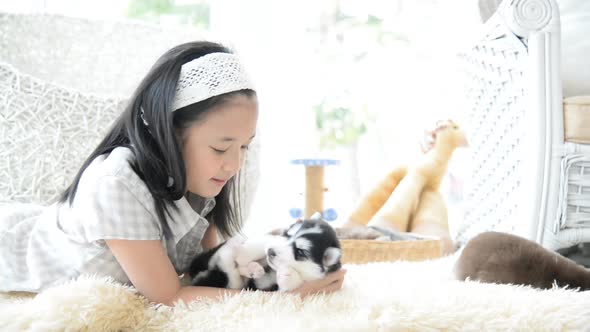 Asian Girl Playing With Siberian Husky Puppy In The Room