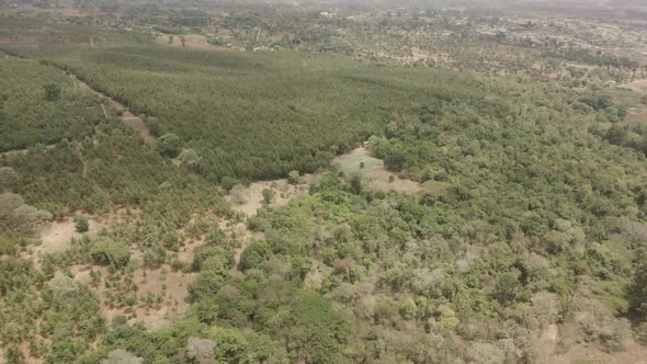 Kilimanjaro slopes woodland forest aerial view across the Kenyan countryside rising high