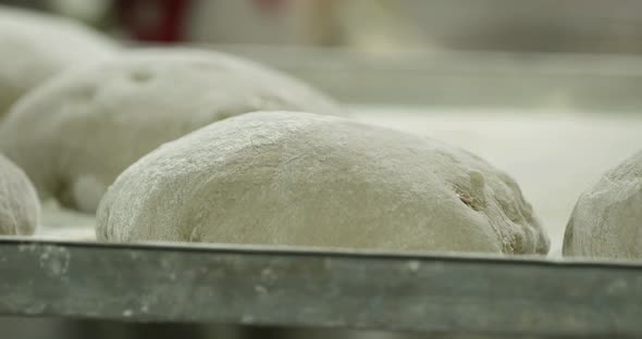Dough Of Sourdough Proofing On A Baking Tray Inside The Bakery - Dough Resting And Rising - Close up