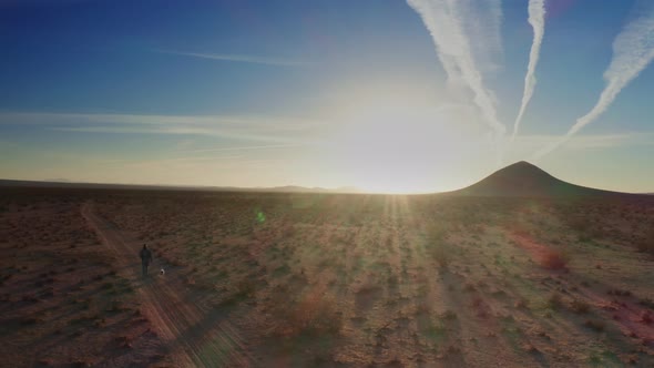 Man and dog walking through the mojave desert at sunrise