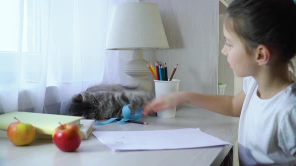 Cute Little Girl Stops Playing with her Pet Cat and Looks at the Camera alt