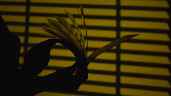 Turning the Pages of a Book. Silhouette. Slow Motion. Close Up