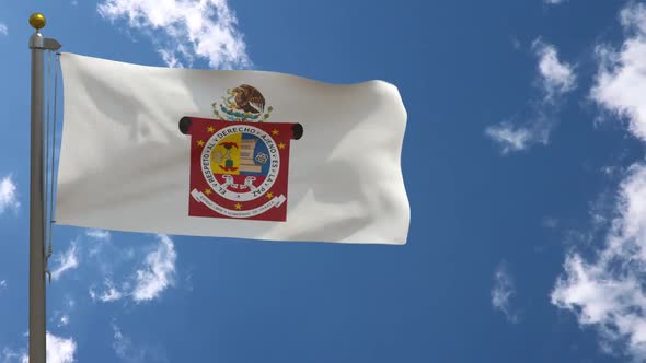 Oaxaca Flag (Mexico) On Flagpole