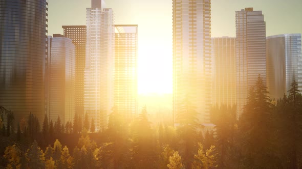 Business Skyscrapers at Sunset