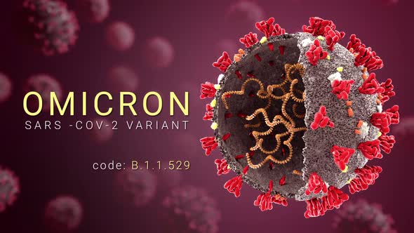 Omicron coronavirus variant Sars ncov 2 2021 2022