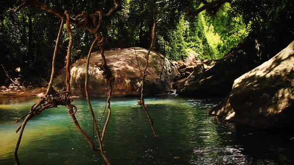 A man swimming in a pond hidden in the forest during a break from trekking in a National Park