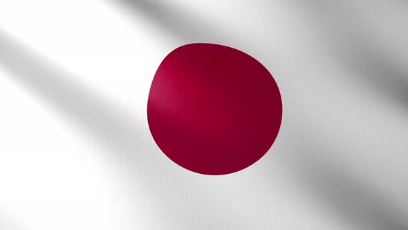 Flag of The Japan