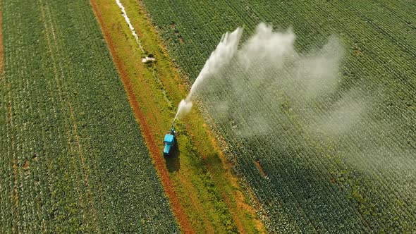 Irrigation System on Agricultural Land