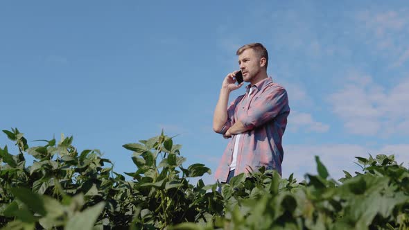 Young Farmer Talking on the Phone in the Soybean Field