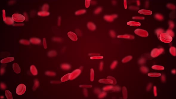 random simulation of blood cells in space