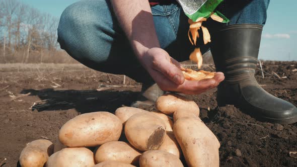 Potato Harvesting Concept