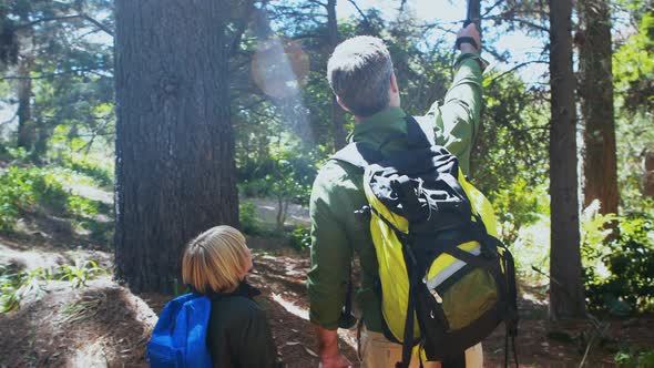 Father and son hiking with trekking poles