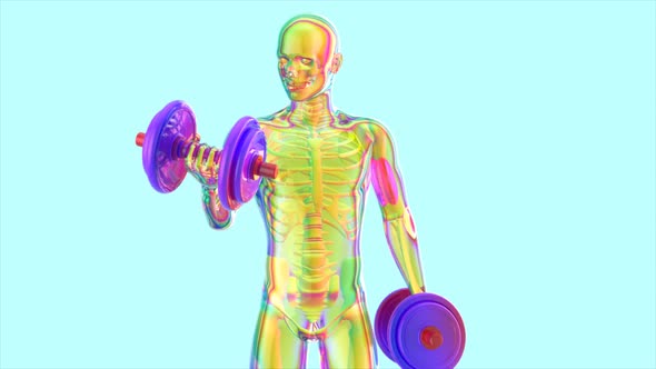 Anatomy of a X-ray man doing Biceps Curls	 alt