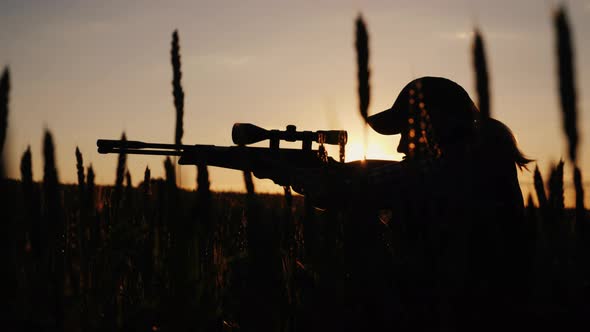 The Hunter is Hiding in Thickets Aiming From a Rifle with an Optical Sight
