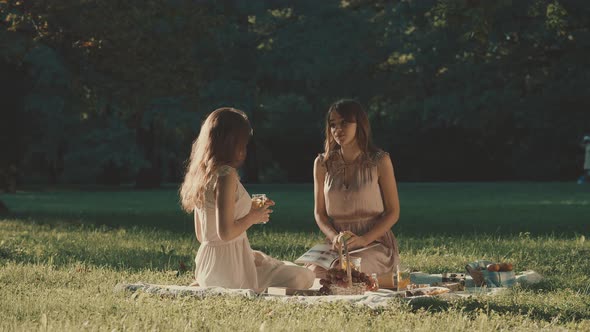 Beautiful girls on a picnic 