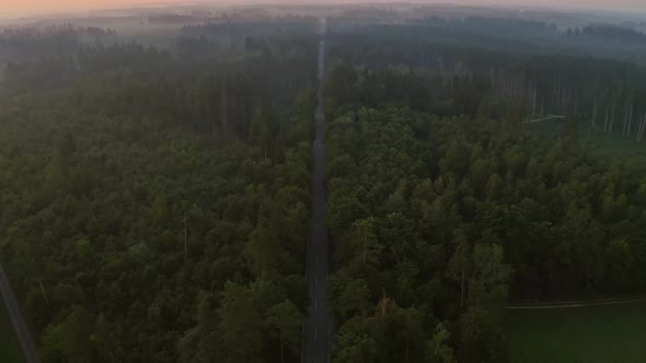 High angle drone shot of a large forest in summer at the sunrise, an empty road leads to the wide ho