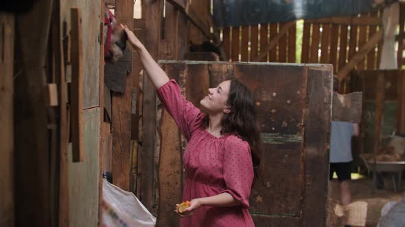 Young Happy Woman Feeding Horse and Petting It