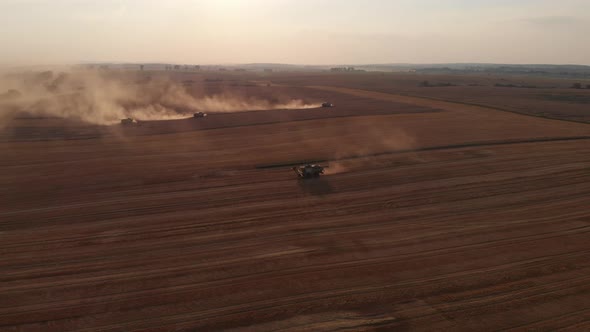 Aerial shot: few combines harvest wheat at sunset.