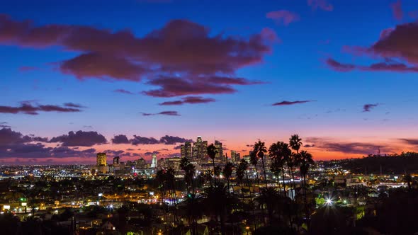 Los Angeles and Palm Trees Day To Night
