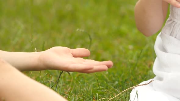 Little Girl Gives Her Hand To the Boy. Slow Motion. Close Up