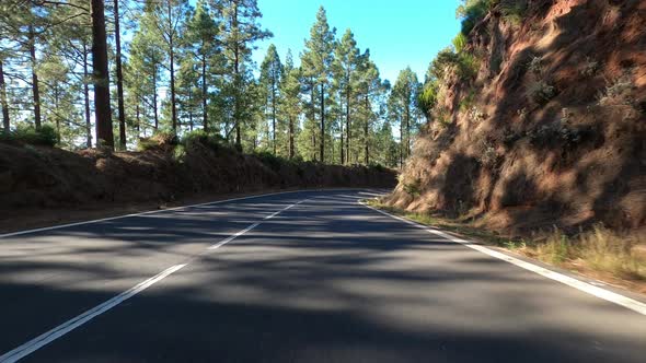 Road in Teide National Park, Tenerife, Canary Islands, Spain