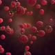 Rasberry Thrown Up - VideoHive Item for Sale