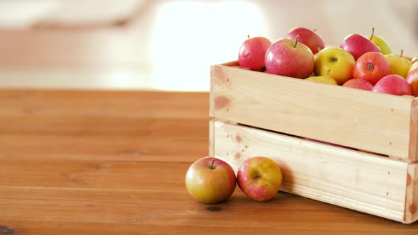 Ripe Apples in Wooden Box on Table 41