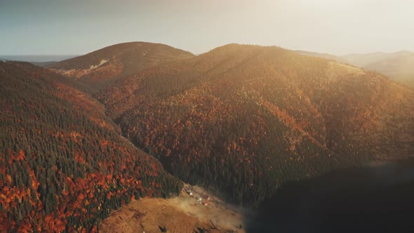 Multicolored Mountain Forestry Slope Aerial View