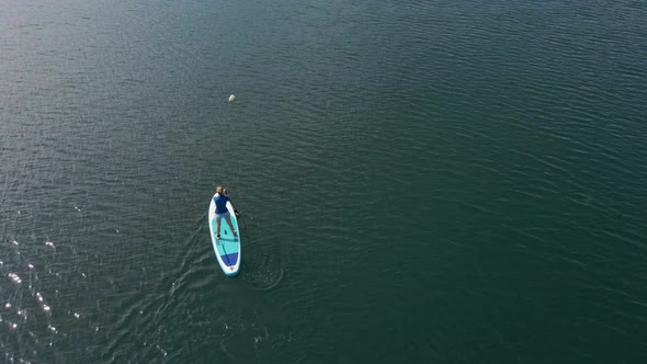 Aerial Shot