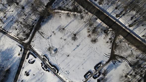 Flight Over The Winter Park. The Camera Is Directed Downward