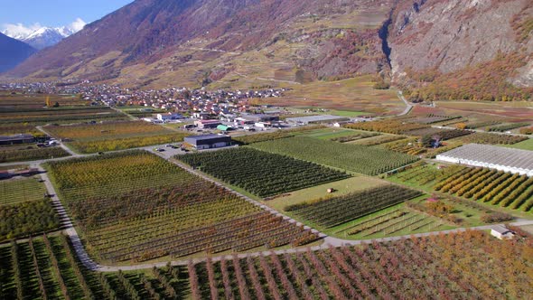 Valais Wine Region Switzerland's Largest Vineyard and Wine Production Area