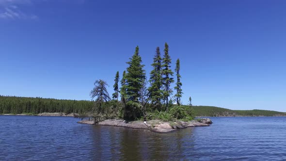 Trees on a small  island in a lake