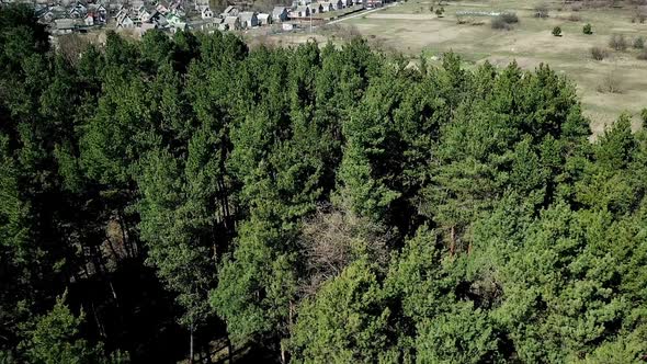 Aerial View. Flying over the beautiful sunny forest trees. Landscape panorama.