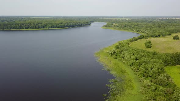 Wild Nature Of The Lake Zaronovo 