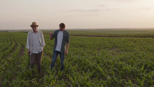 Discussion of Two Men on a Green Corn Field