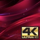 4K Elegant Red Background 3 - VideoHive Item for Sale