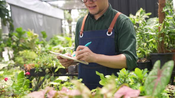 4K Asian man plant shop owner caring and checking plants in greenhouse garden.