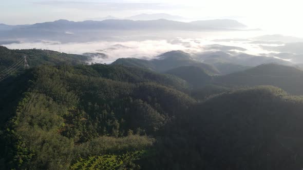 Aerial fly over plantation at hill area