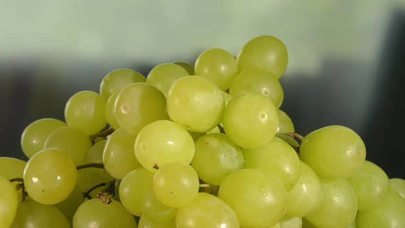 Closeup Shot of a Fresh Bunch of Green Grapes Rotating