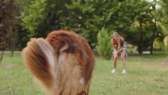 Young Woman Playing with Her Dog in Park on Summer Day