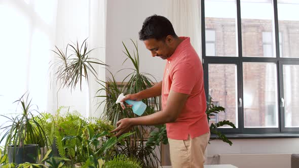 Indian Man Spraying Houseplant with Water at Home