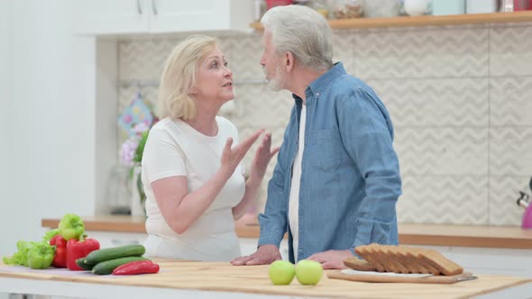 Old Couple Fighting in Kitchen Argument