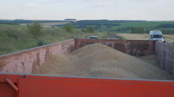 Seasonal Harvesting of Grain Crops. Filling Grain in the Truck Trailer After Harvesting in the Field