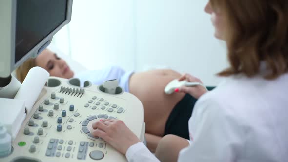 Side View of Professional Obstetrician Performing Ultrasound of Abdomen of Pregnant Woman.