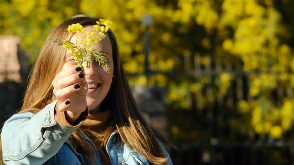 Pretty woman against mimosa tree with flowers on blue sky and sunny day