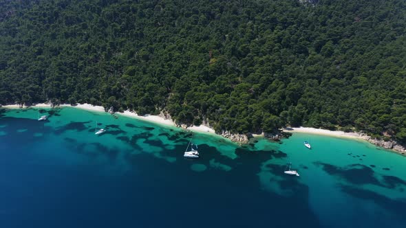 Sailboats, yachts and catamarans anchored on the shores with beach of the islands with vegetation in